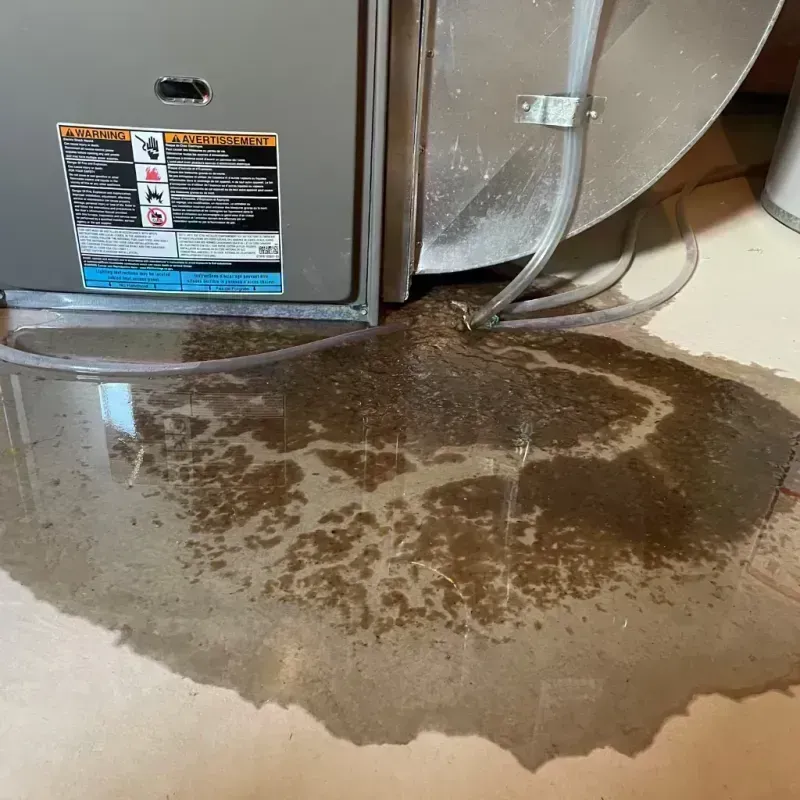 Appliance Leak Cleanup in Fort Carson, CO